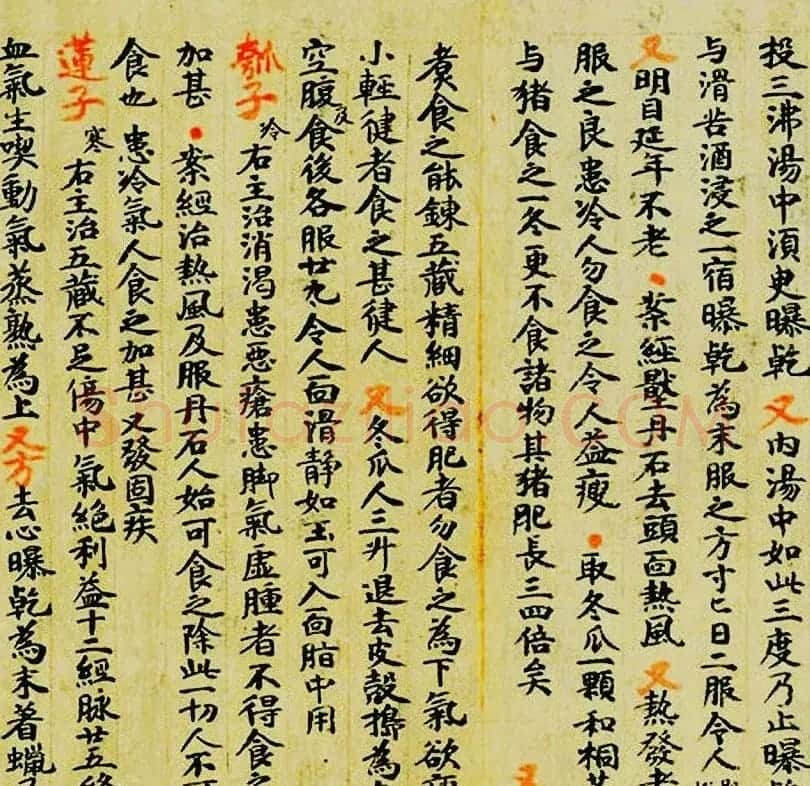 敦煌遗书墨迹--食疗药书残卷 | 敦煌写经赏析