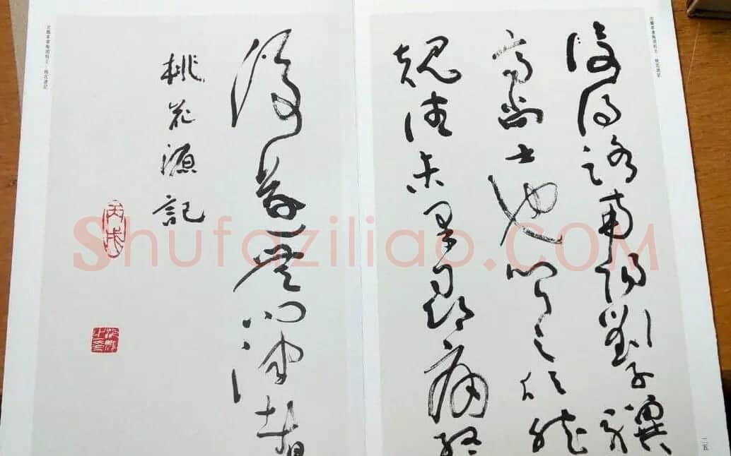 沈鹏草书欣赏《桃花源记》 | 书法作品赏析