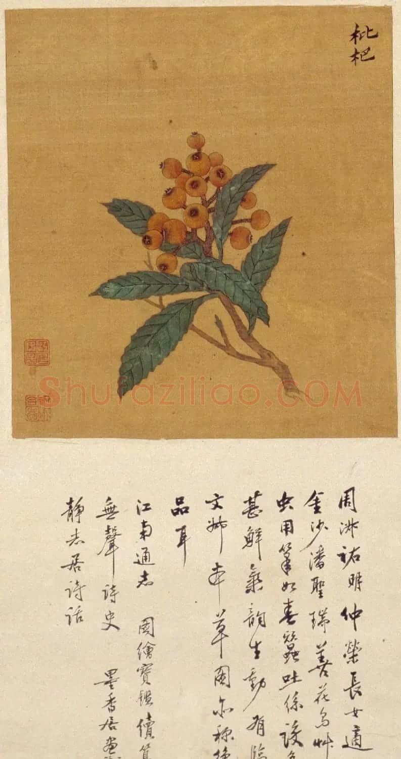周淑禧、周淑祜两姐妹小楷《本草图》四条屏 | 传世书法作品精选