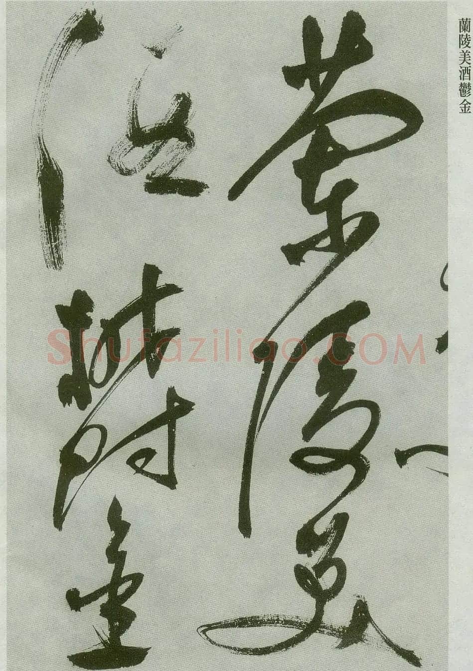 祝允明草书欣赏唐诗二首 | 书法名家作品鉴赏