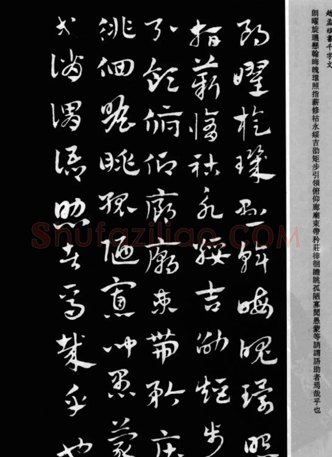 赵孟頫书法章草千字文(附释文)图片17P | 软笔草书字帖