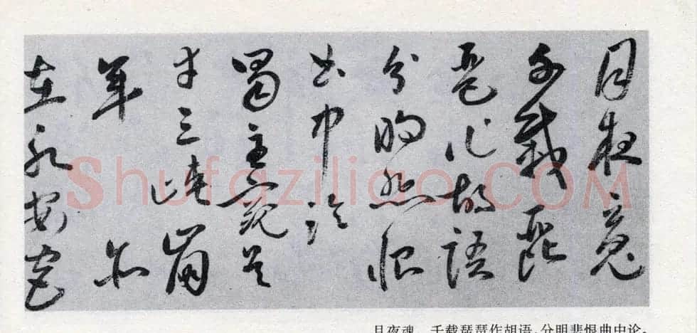 祝允明草书《支离东北风尘际》 | 书法作品赏析
