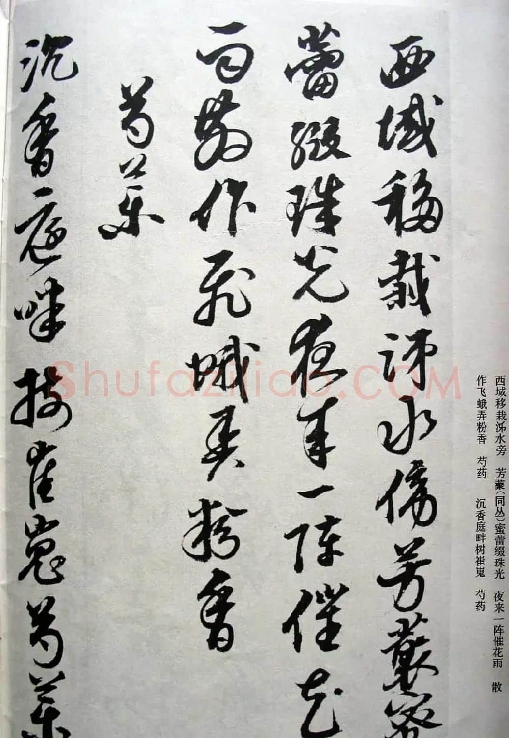 明代女书画家邢慈静草书欣赏 | 名家书法作品赏析