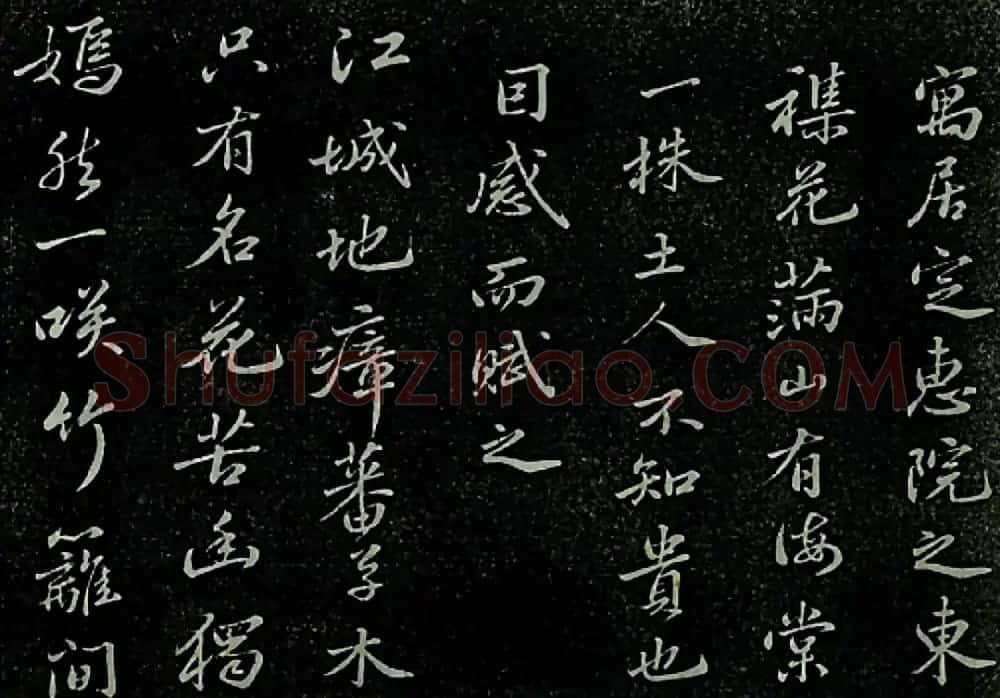 苏东坡书法欣赏《定慧院海棠诗》 | 毛笔书法作品