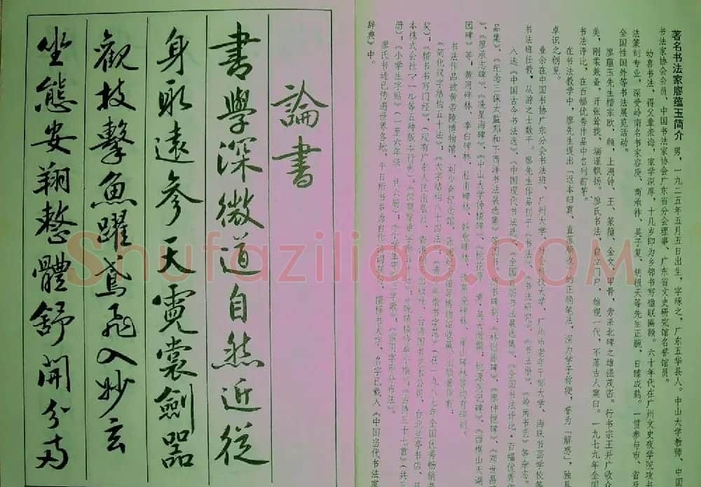青少年行书范本《廖蕴玉著并书.论书七绝句一百首》 | 软笔行书字帖