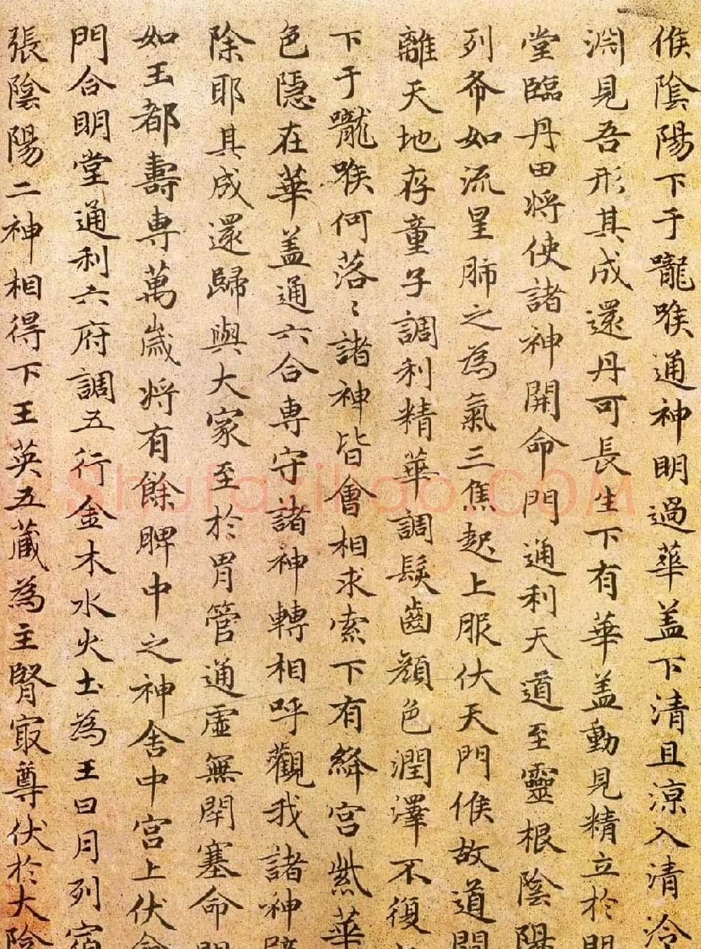 赵孟頫小楷临《黄庭经》彩色墨迹本 | 书法长卷