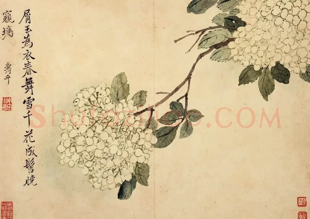 清代恽寿平书法字画花卉八开 | 传世书法作品赏析