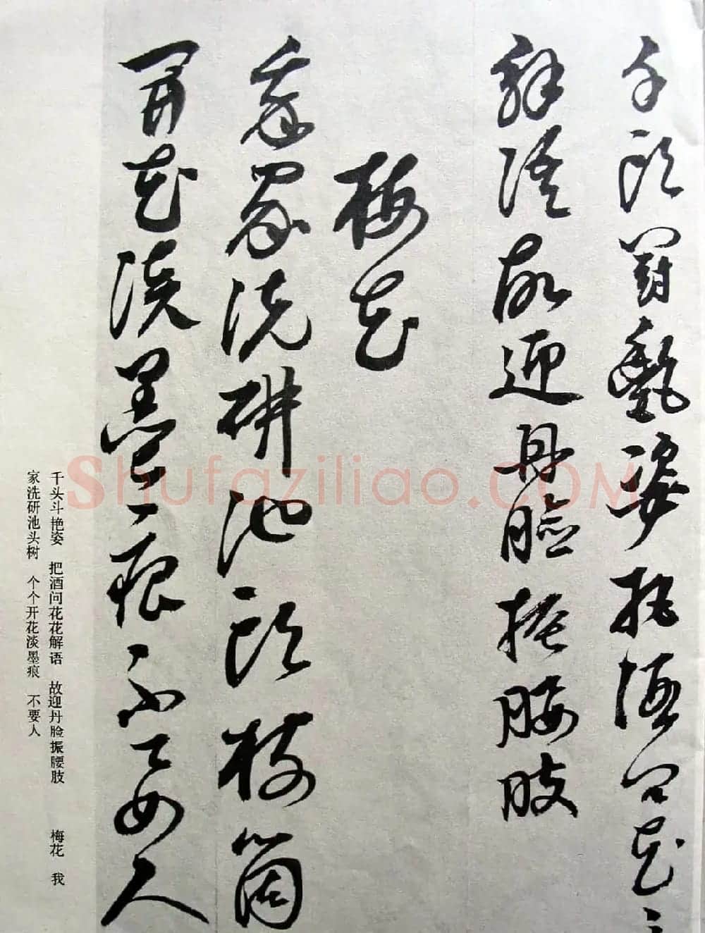 明代女书画家邢慈静草书欣赏 | 名家书法作品赏析