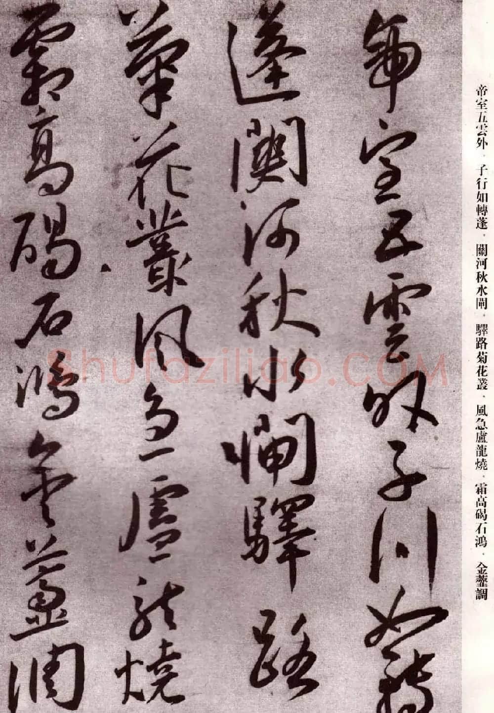 明代书法家王宠行草自书杂诗 | 名家书法作品精选