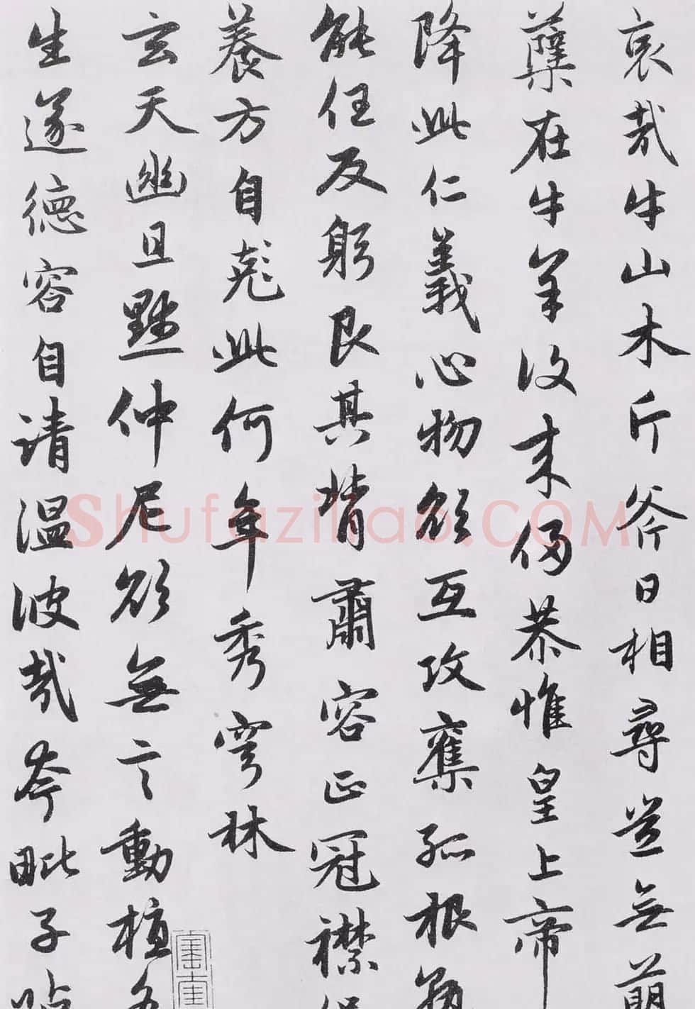赵孟頫书法墨迹《感兴诗二十首》 | 书法名家作品欣赏