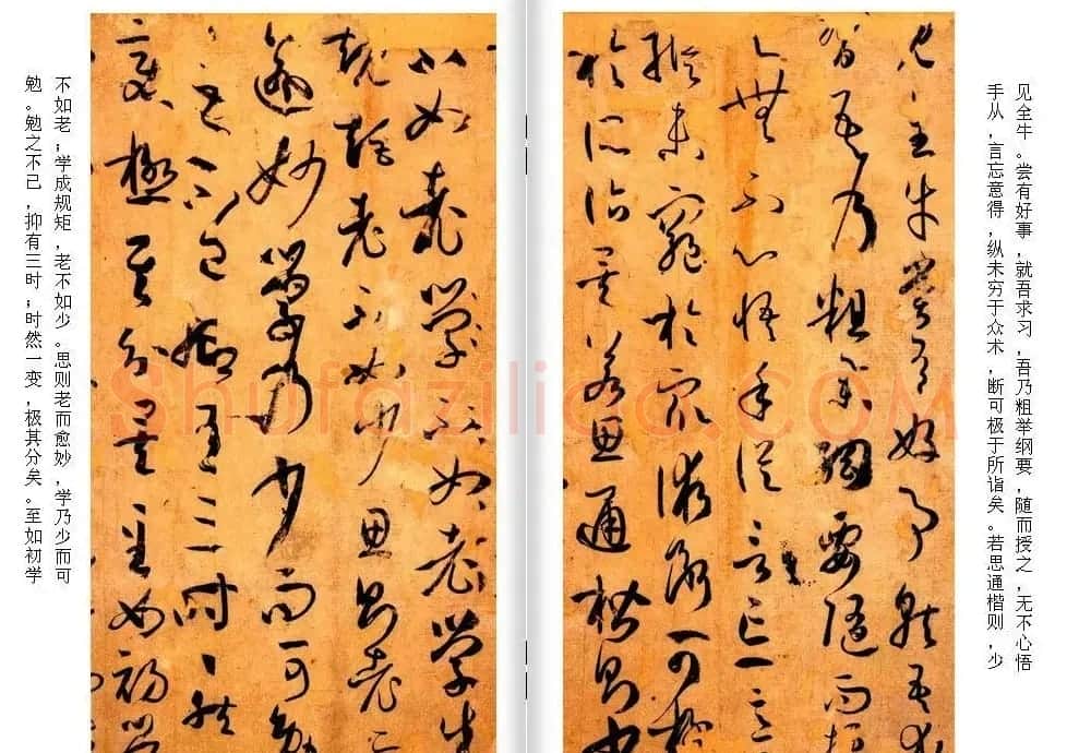 高清草书范本 孙过庭《书谱》全文今译 | 软笔草书字帖