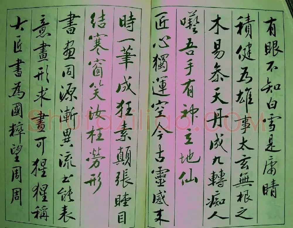 青少年行书范本《廖蕴玉著并书.论书七绝句一百首》 | 软笔行书字帖