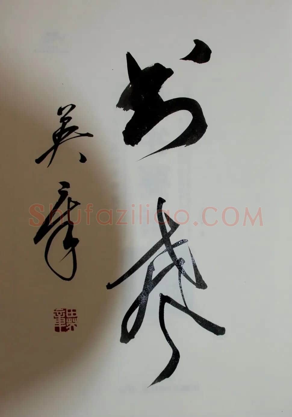 田英章书法2字作品欣赏第三辑 | 书法名家作品鉴赏