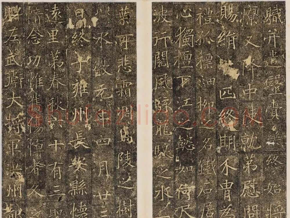 精品唐楷书法《大唐故襄城郡开国公樊兴碑》 | 书法碑帖