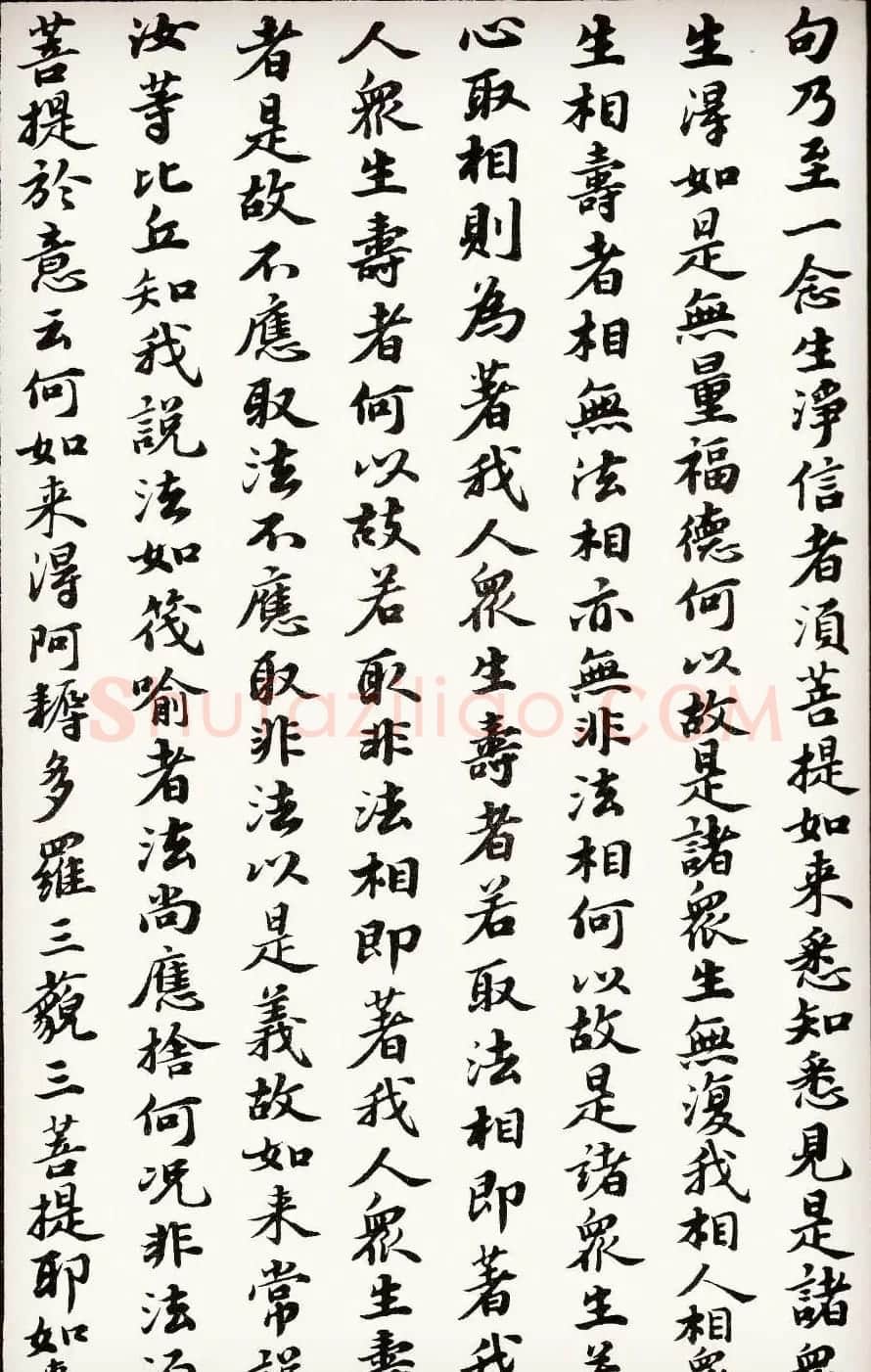苏轼行楷书法欣赏《金刚经》全本 | 毛笔书法作品