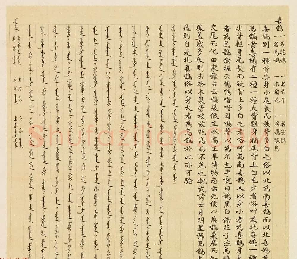 汉文满文字画欣赏《清人鸟谱册》 | 传世书法作品欣赏