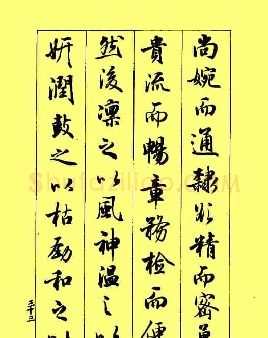 梁鼎光行书欣赏《孙过庭书谱》 | 软笔行书字帖