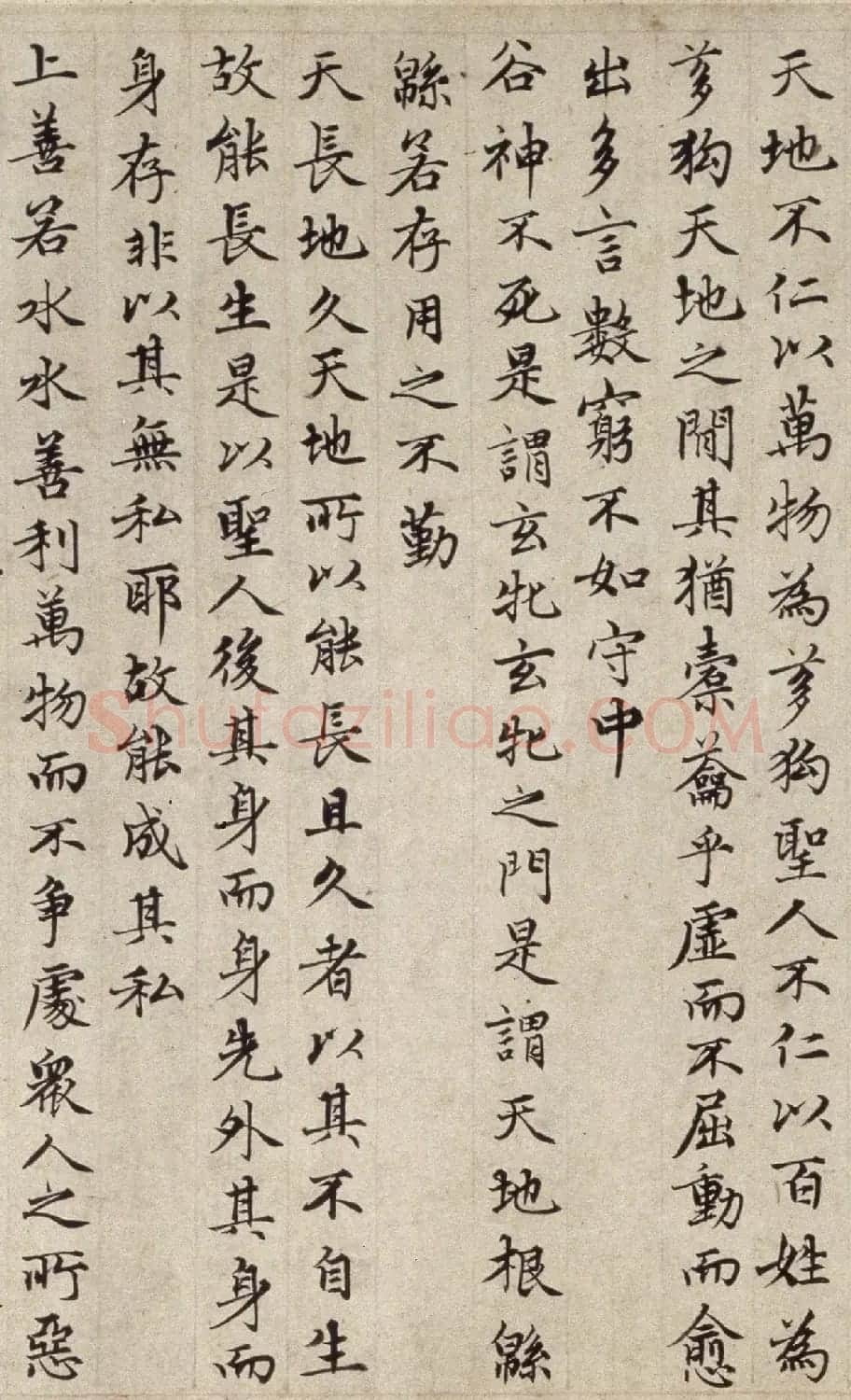 赵孟頫(款)小楷道德经卷 | 书法长卷