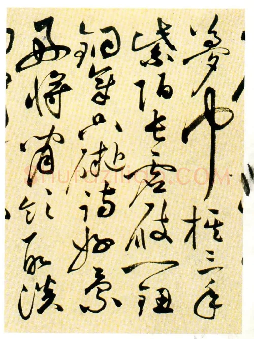 祝允明草书墨迹欣赏《自书诗卷》 | 名家书法作品赏析
