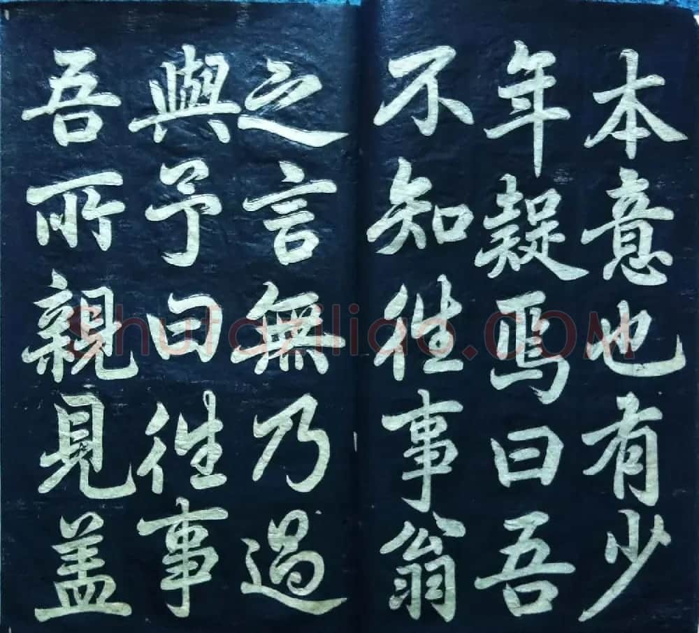 兰新家传碑帖欣赏《赵文敏寿春堂》 | 软笔书法作品