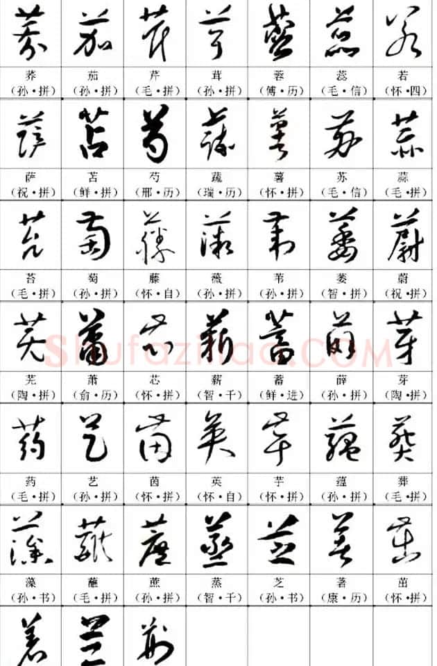 书法教材《名帖名家草书字帖范字》 | 毛笔草书字帖