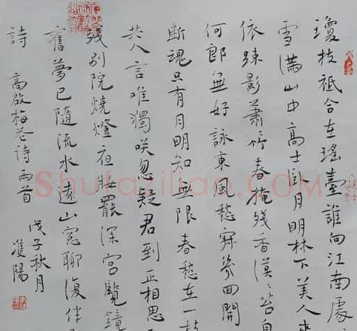 李双阳书法作品欣赏 | 书法作品赏析