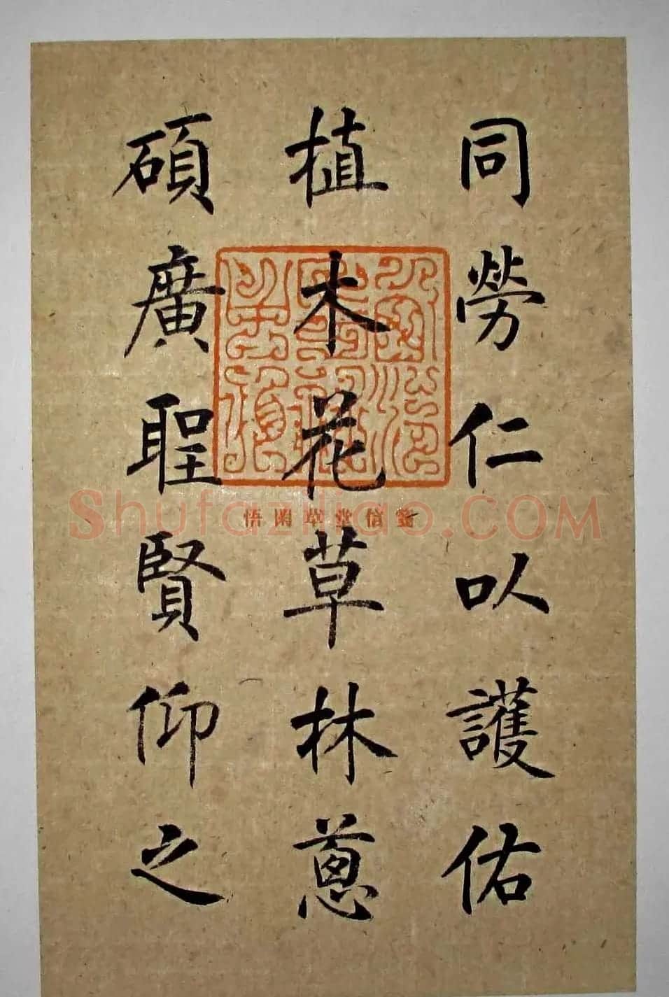 杨华书法楷书册页《松赋》 | 书法名家作品鉴赏