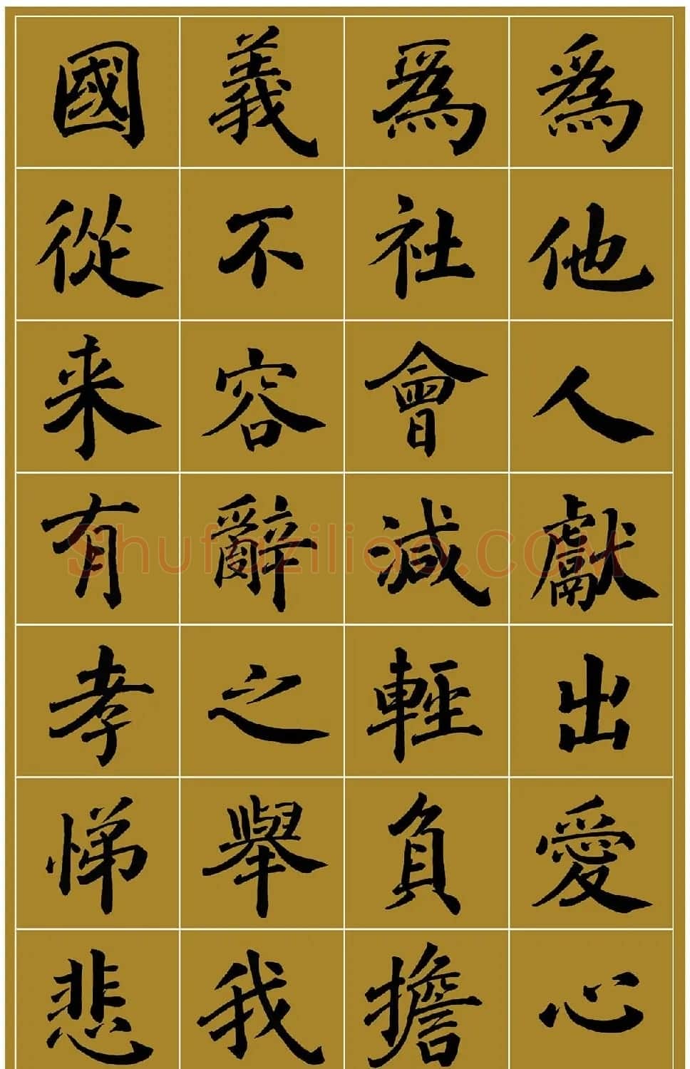 范笑歌楷书《中国少儿先心病基金宣讲辞》 | 书法作品赏析