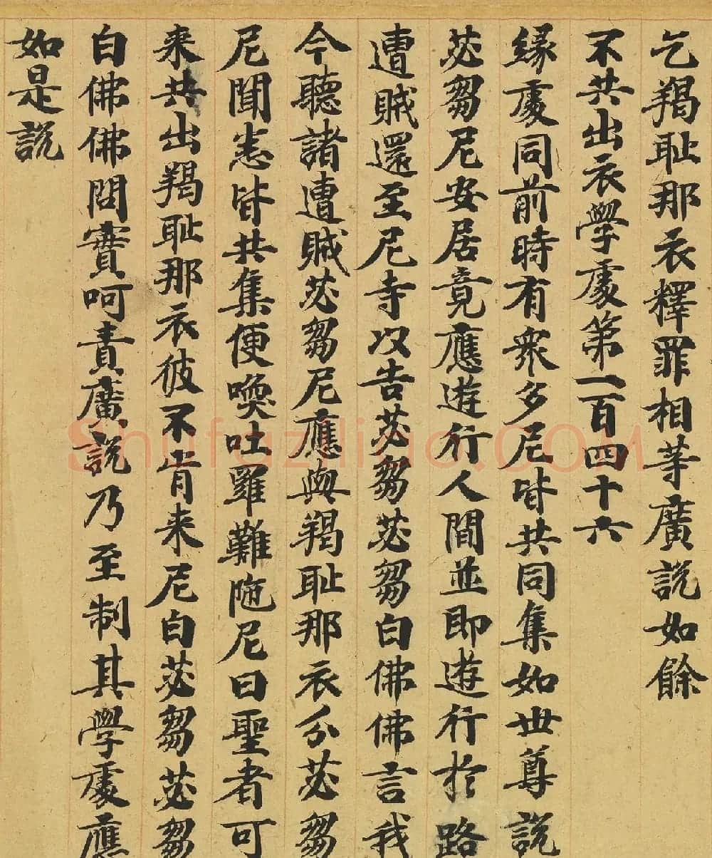 唐人书佛说广博严净不退转轮经 | 敦煌写经精选