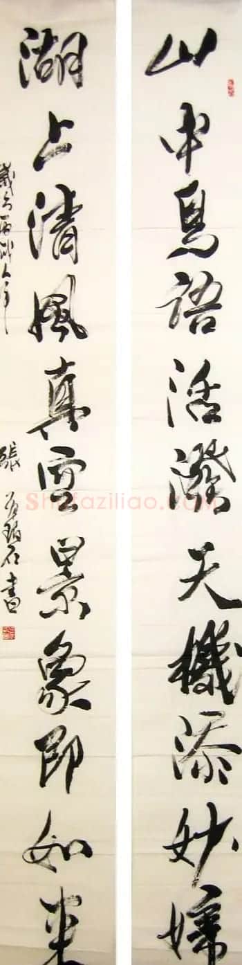 张有碧书法作品欣赏 | 毛笔书法作品