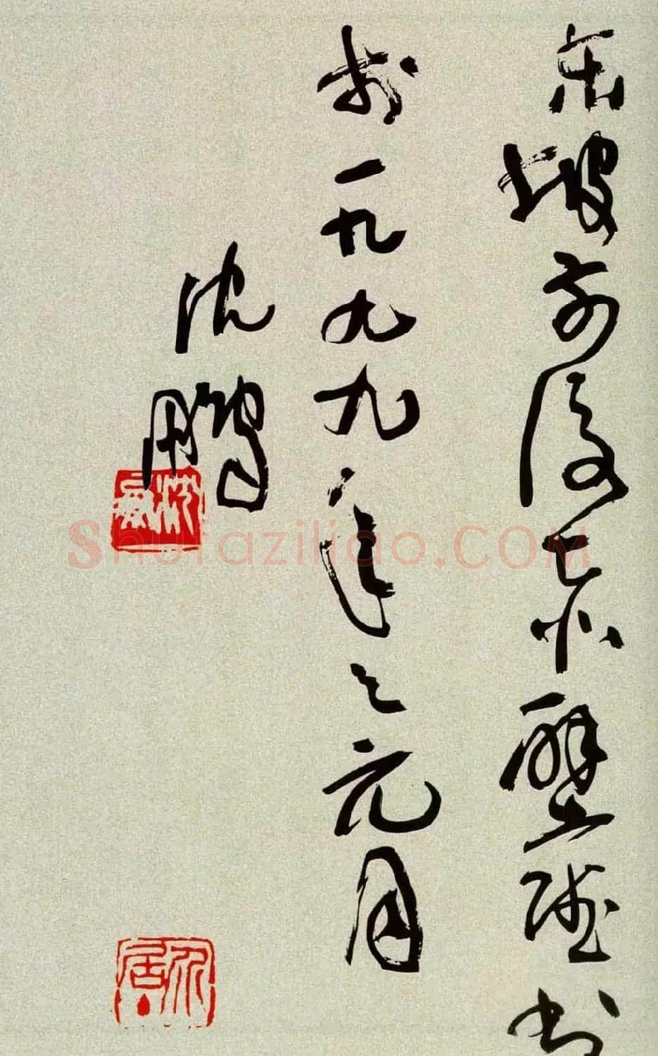 沈鹏草书欣赏《前后赤壁赋》 | 软笔草书字帖