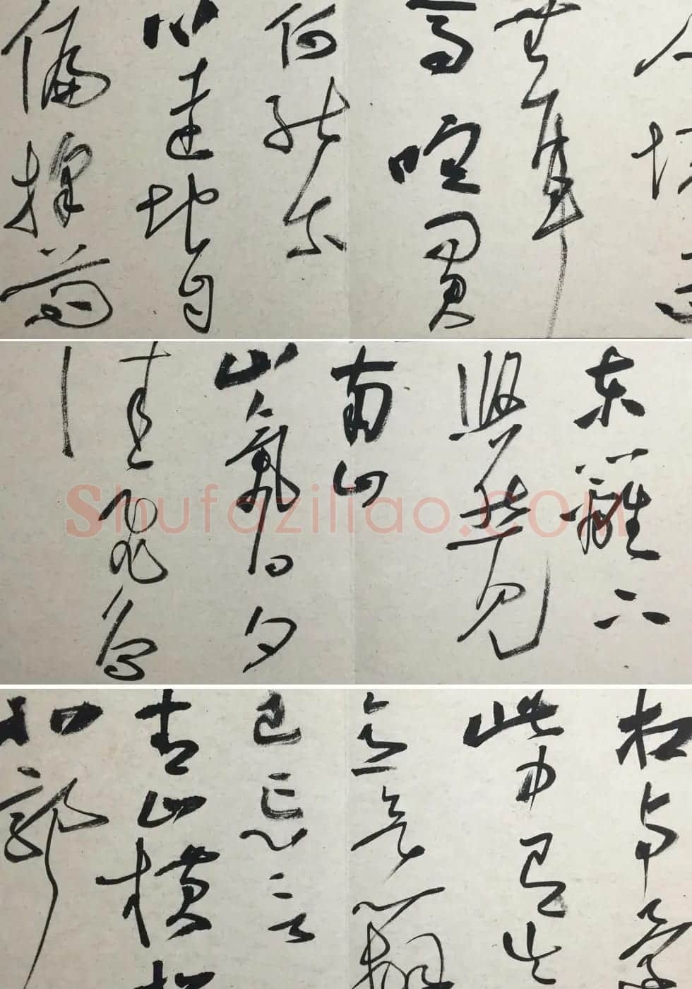 知镰草书册页《金泽珊大草诗册》 | 毛笔书法作品