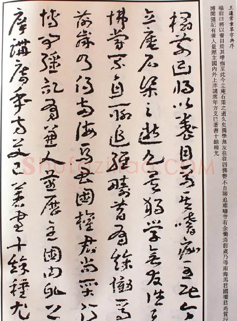 王蘧常草书欣赏《章草字典序》 | 软笔书法作品