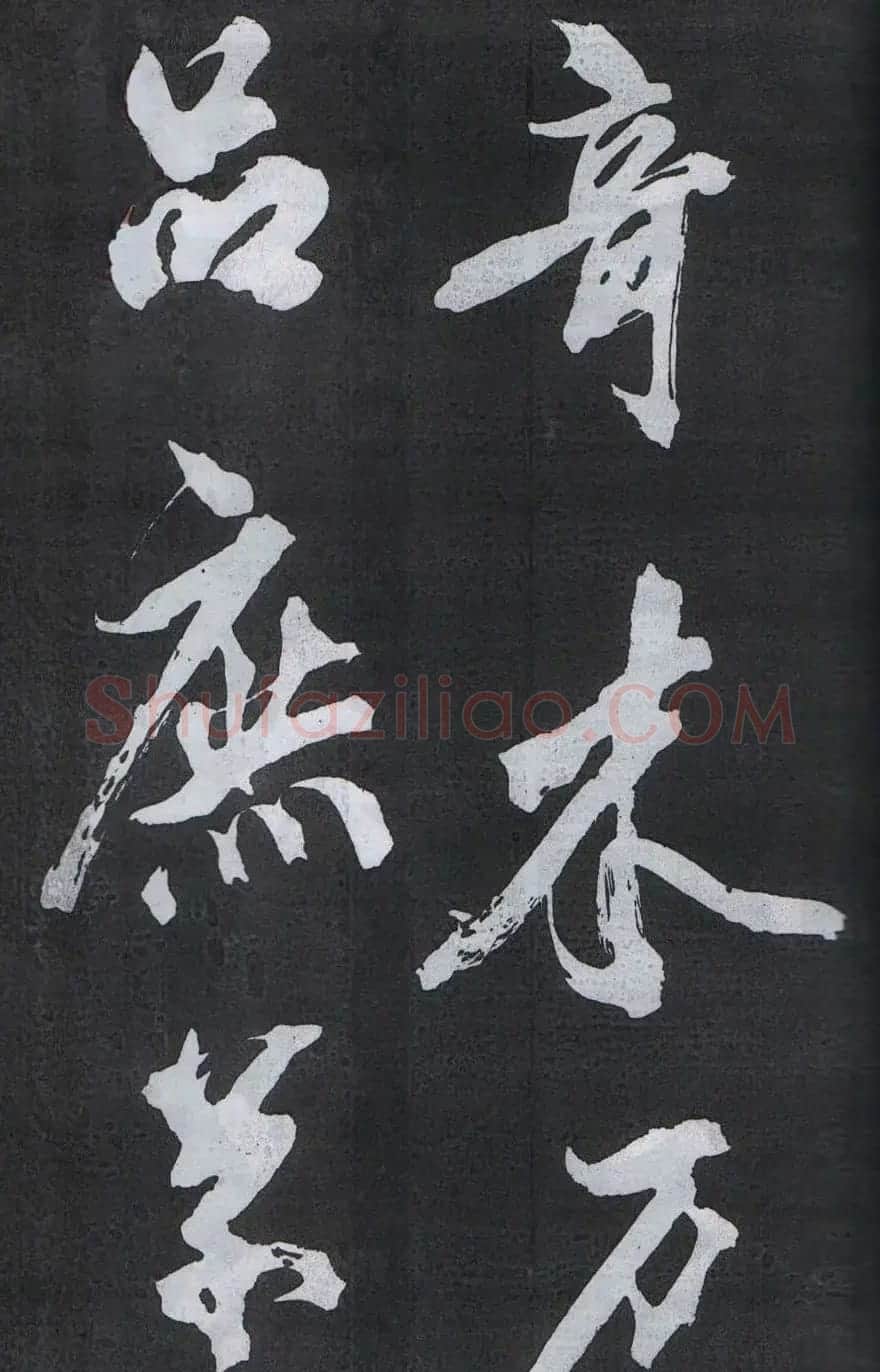 米芾书法欣赏梅花赋两种 | 毛笔书法作品