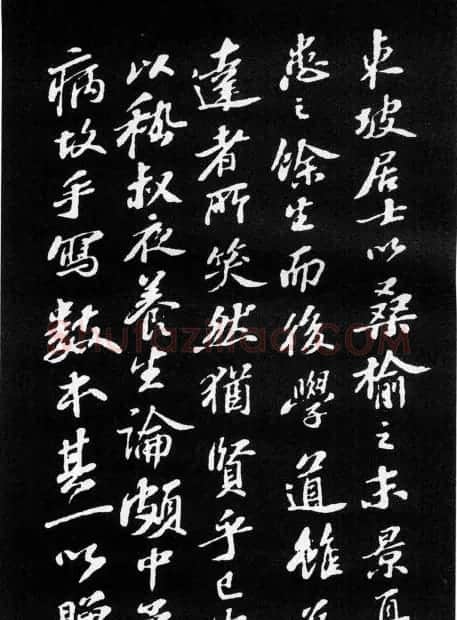苏轼小楷欣赏《养生论》拓本 | 软笔书法作品