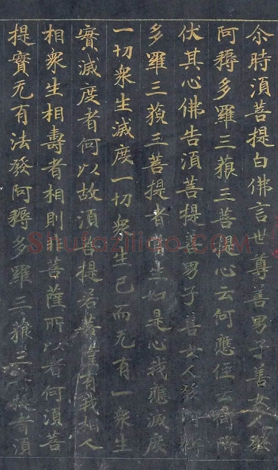 泥金小楷金刚般若波蜜经残卷 | 敦煌写经赏析