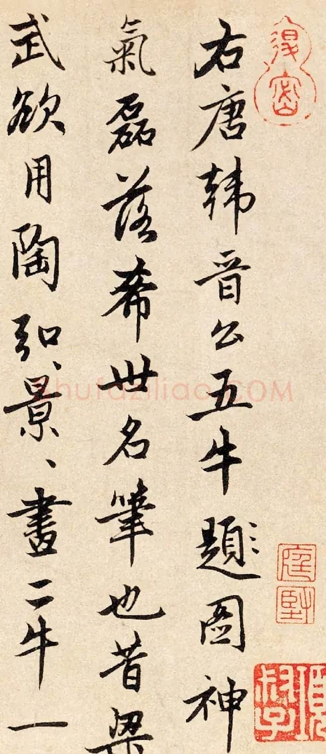 赵孟頫行书三跋《韩滉五牛图卷》 | 书法名家作品欣赏