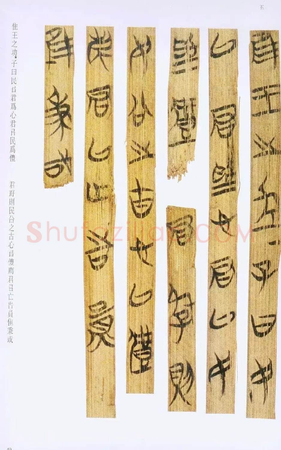 战国楚竹简书法欣赏《缁衣篇》 | 书法作品欣赏