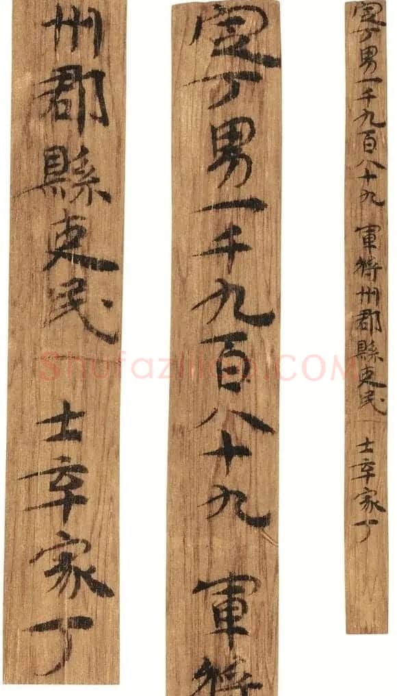 多体墨书《郴州苏仙桥三国吴简》 | 书法作品鉴赏