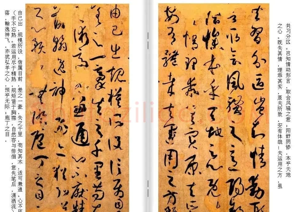 高清草书范本 孙过庭《书谱》全文今译 | 软笔草书字帖
