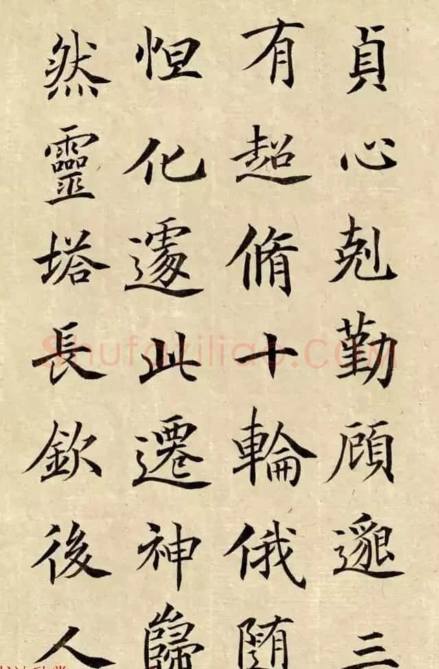 张沧楷书临大唐王居士砖塔铭 | 书法作品欣赏