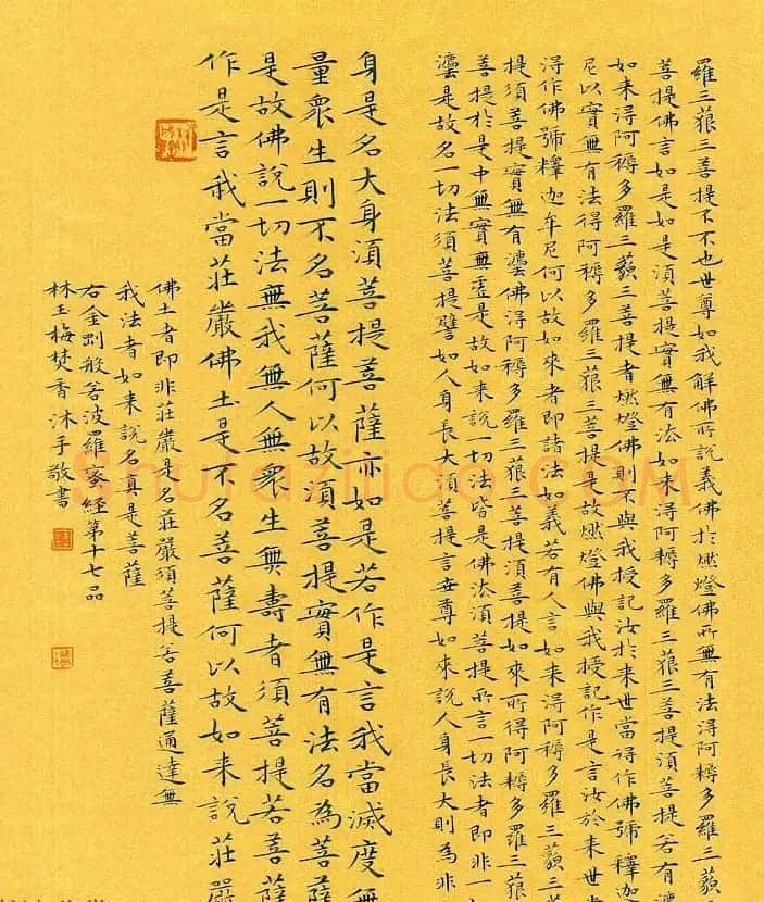 漳州市女书法家林玉梅小楷金刚经 | 书法作品赏析