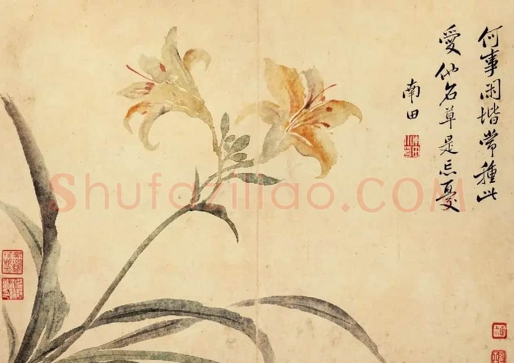 清代恽寿平书法字画花卉八开 | 传世书法作品赏析