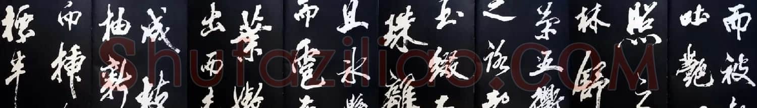 米芾书法欣赏梅花赋两种 | 毛笔书法作品