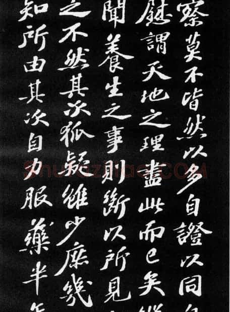 苏轼小楷欣赏《养生论》拓本 | 软笔书法作品
