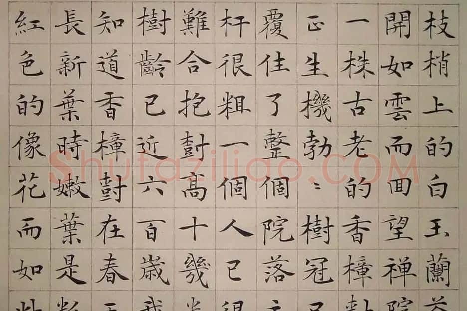 安徽韦斯琴书法作品欣赏 | 书法作品赏析
