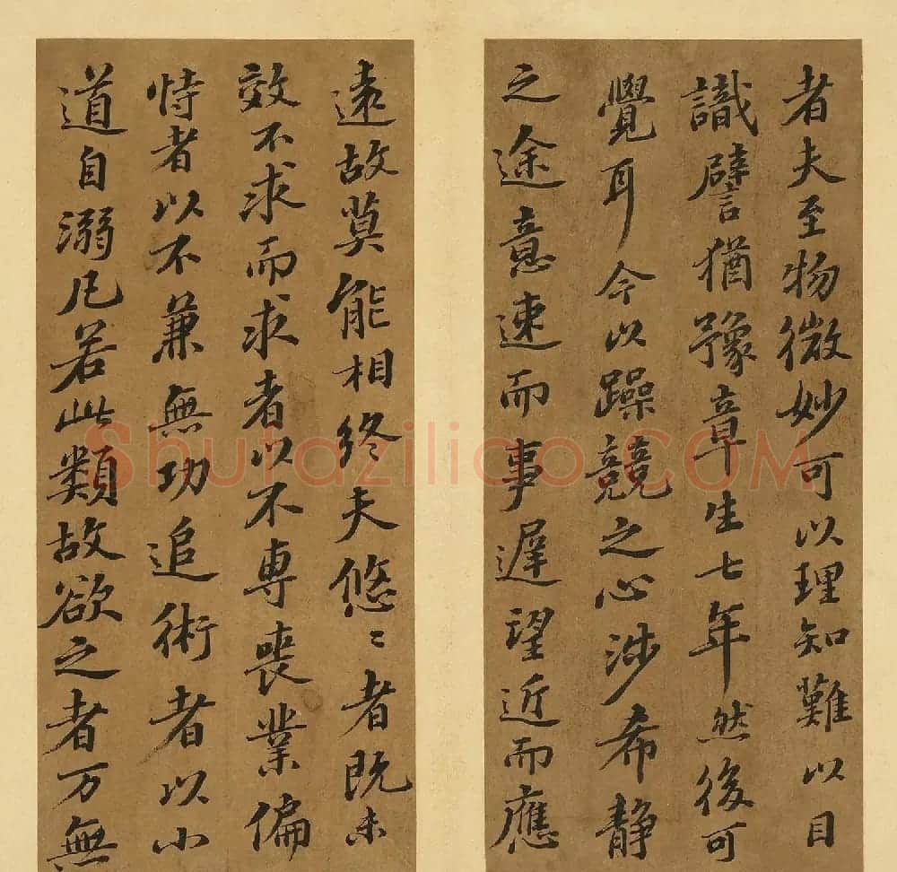 苏轼行书养生论真迹册 | 软笔书法作品