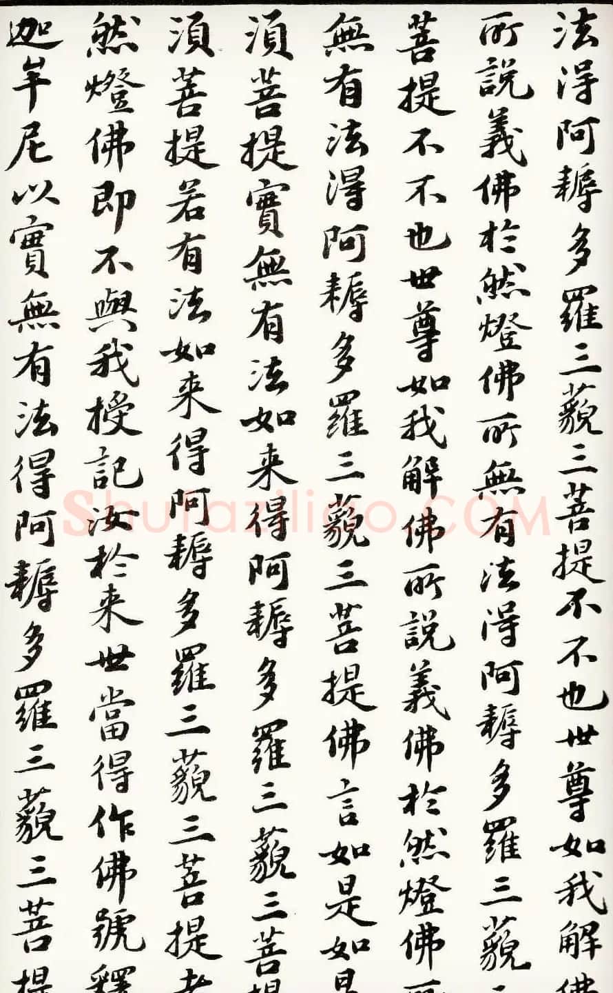 苏轼行楷书法欣赏《金刚经》全本 | 毛笔书法作品