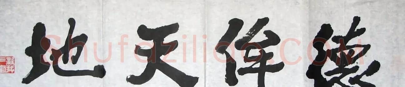 费新我书法作品欣赏 | 书法作品赏析