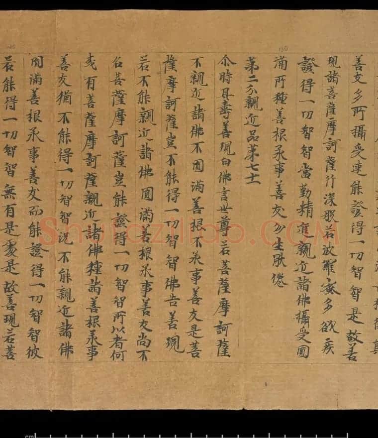 大般若波罗蜜多经卷第四百六十四 俄罗斯藏本 | 敦煌写经欣赏